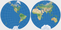Stereographische (Hem.)